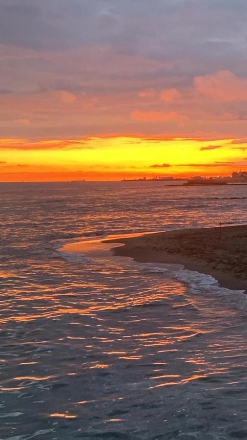 Apartament Lavinia House Lido di Ostia Zewnętrze zdjęcie